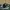 Adidas Tubular Yeezy Breathable Original Second 