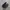 V4N55GUARD SLIP ON FULL BLACK  photo 1