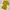 hnm mustard dress photo 1