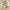 Sandal Birkenstock Boston