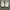 Adidas NMD R1 White photo 3