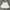 Cosplay Casual Skirt Wanita White
