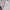 Sportswear Sweater Pria White