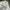 Adidas Vintage Streetwear Jersey Pria white photo 2