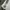 Adidas Vintage Streetwear Jersey Pria white photo 3