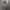 Blank hoodie heavyweight photo 2