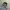 Blank hoodie heavyweight photo 4