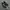 onclude photo 3