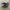 SUNNEI Men’s Canvas Sneakers  photo 2