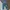 Uniqlo Japanese Fabric by Kaihara Jeans Straight Fit Origina photo 8