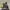 Smartwatch Samsung Gear S3 Frontier photo 1