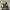 Smartwatch Samsung Gear S3 Frontier