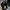 Smartwatch Samsung Gear S3 Frontier photo 4