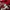 Gildan Rose Bowl 2013 Wisconsin Badgers Long Sleeve Crewneck photo 6