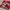 Gildan Rose Bowl 2013 Wisconsin Badgers Long Sleeve Crewneck photo 1