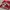 Gildan Rose Bowl 2013 Wisconsin Badgers Long Sleeve Crewneck