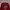 Gildan Rose Bowl 2013 Wisconsin Badgers Long Sleeve Crewneck photo 4