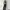 Outer Jumbo Big Size photo 1