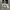 CREWNECK ADIDAS TRIFOIL ORIGINAL 100% photo 3