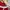Bayern Munchen 2017-2018 Home Jersey photo 8