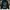 Hoodie 24 karats photo 1