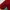 Katbol merah maroon  photo 3