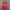 Dress Orange photo 2