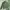 ARMY JACKET VEST photo 4