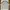 VTG Y2K Adidas Climalite Stone Boxy Oversize Jersey Training photo 1