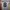 Jersey Liverpool 3rd 2024 photo 1