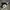 Nike Jordan low Gorpcore Lolita Sneakers  photo 4