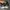 Nike Jordan low Gorpcore Lolita Sneakers  photo 3