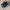 Saucony Originals DXN Trainer  photo 2