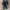 Saucony Originals DXN Trainer  photo 3
