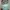 Topi Snapback Pokemon Aop Official Merch photo 6