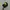 Topi Remaja Minecraft Official Merch