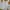 Cream Cargo Shorts  photo 1