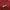 Lee Vintage Y2K Sweater Pria red photo 2