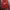 Lee Vintage Y2K Sweater Pria Red
