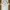 Le Coq Sportif Reactive Jersey T-Shirt Training Short Sleeve photo 6