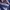 Bootcut jeans / Jeans Cutbray photo 2