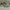 asisc magic speed photo 1
