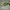 asisc magic speed photo 2