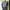 Vintage Fur coat Pria gray photo 2