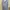 This Is April Floral Dress 