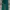 Green Pine Flared Cutbray Pants