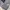 Champion Vintage Casual shoe Pria black photo 4