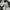 Freak Store Cargo Ballon Pants photo 8