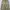 Gu SuperWide Cargo Ballon Pants photo 2