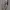 Parka Army Military M65 Model photo 3